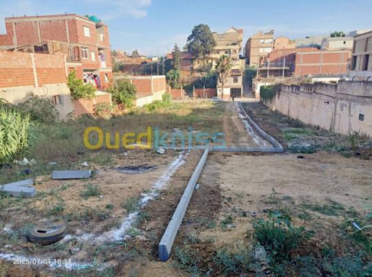 Vente Terrain Tipaza  4