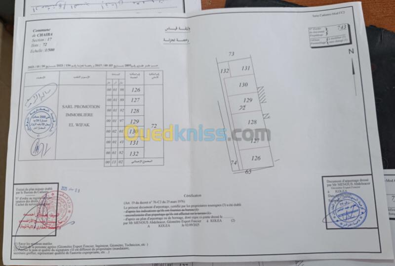 Vente Terrain Tipaza 