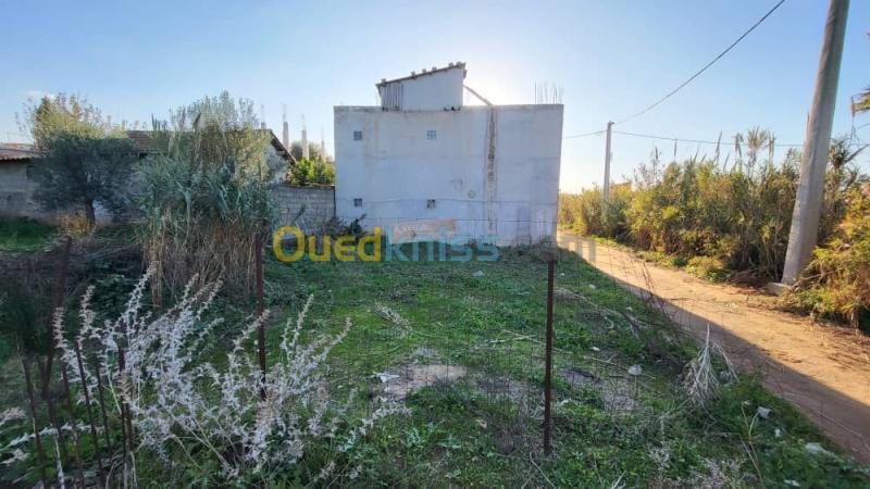 Vente Terrain Boumerdès Zemmouri 4