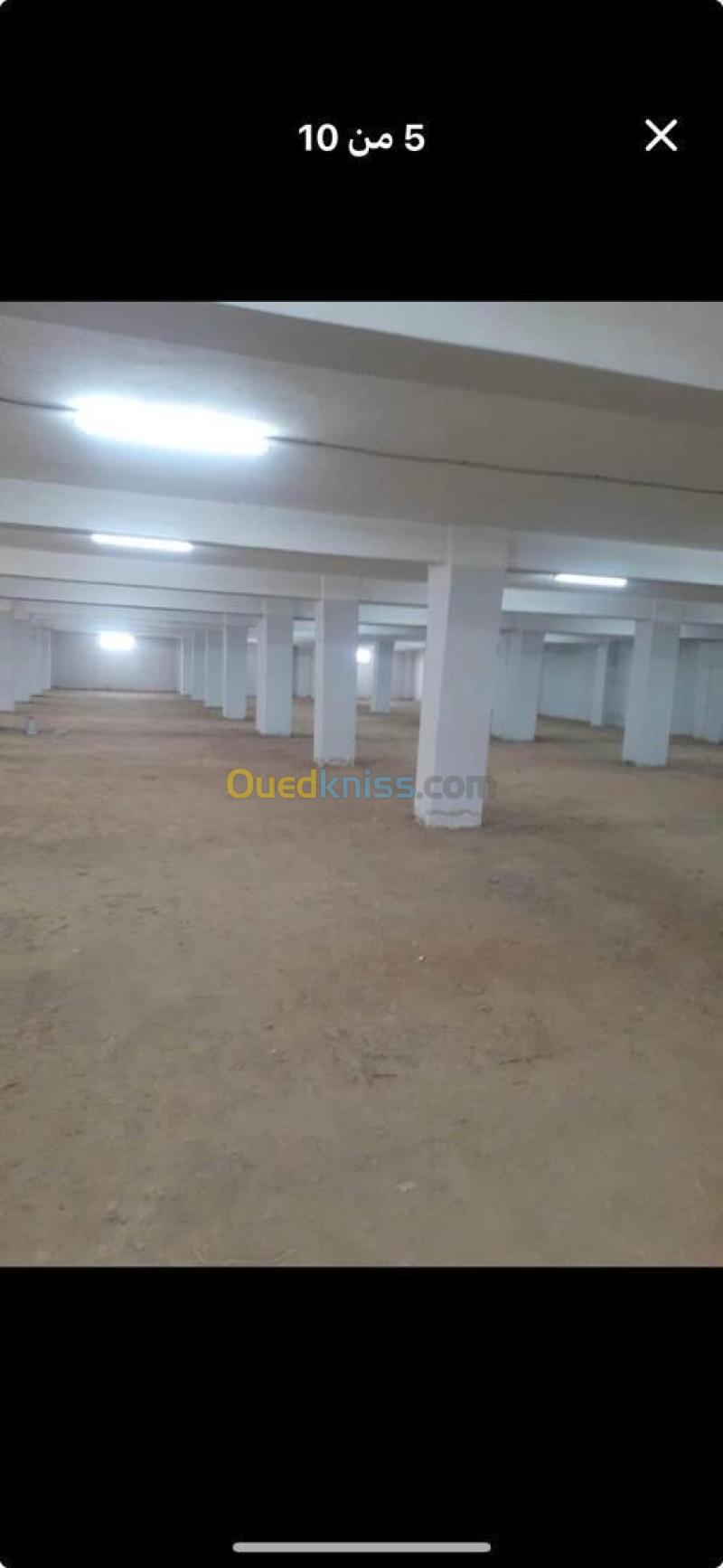 Vente Hangar - Usine Oran El Kerma 6