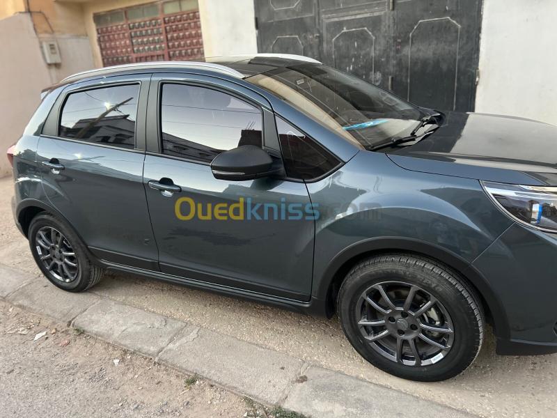Livan X3 Pro  2026 Automatique (Avec toi ouvrant ) 3