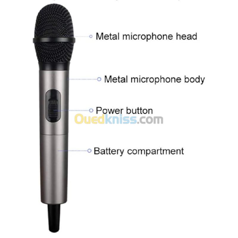 Microphone a main sans fil Acemic DV20H 2