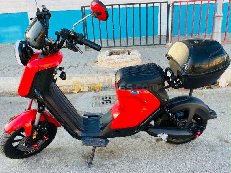Niu Alo 2025 2