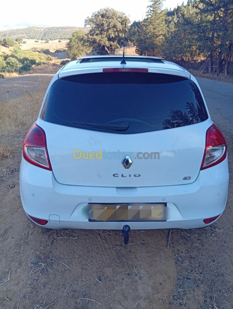 Renault Clio 3 2012 Night and Day