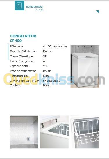 PROMO CONGELATEUR IRIS CF 100L 2