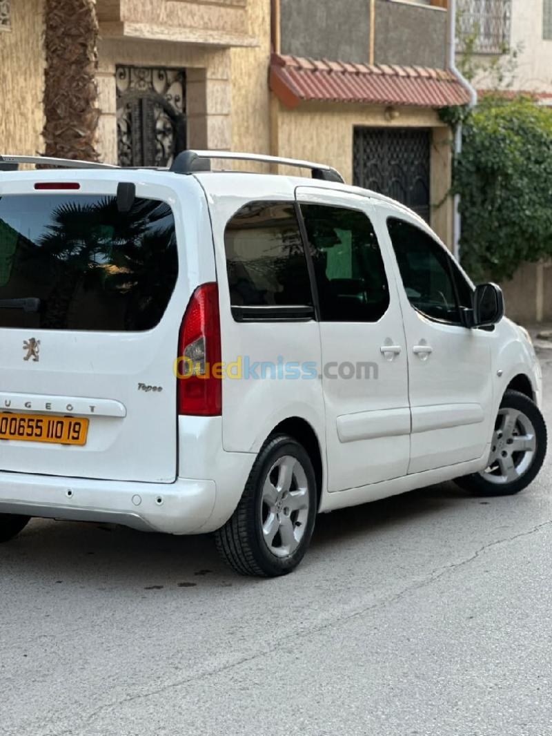 Peugeot Partner 2010 Tepee 4