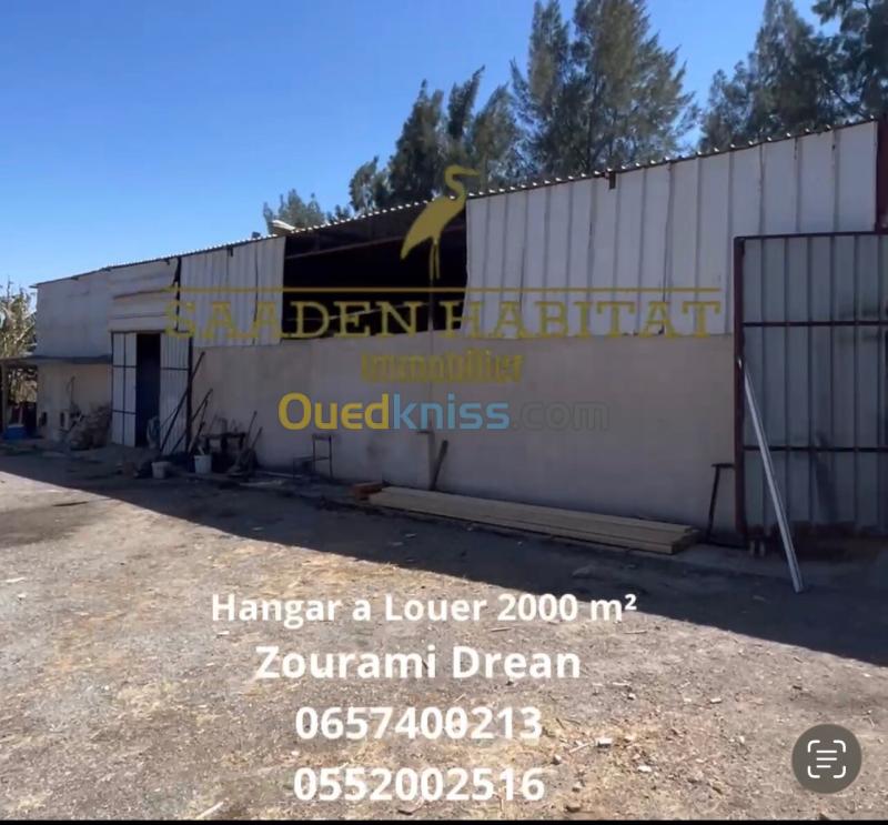 Location Hangar - Usine El Tarf Drean 2