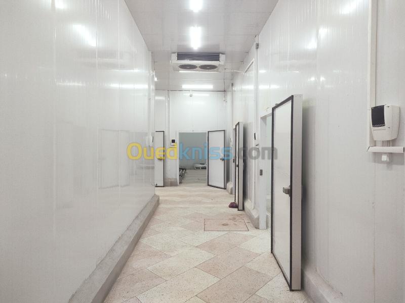 Location Hangar - Usine Constantine Zighoud youcef 25