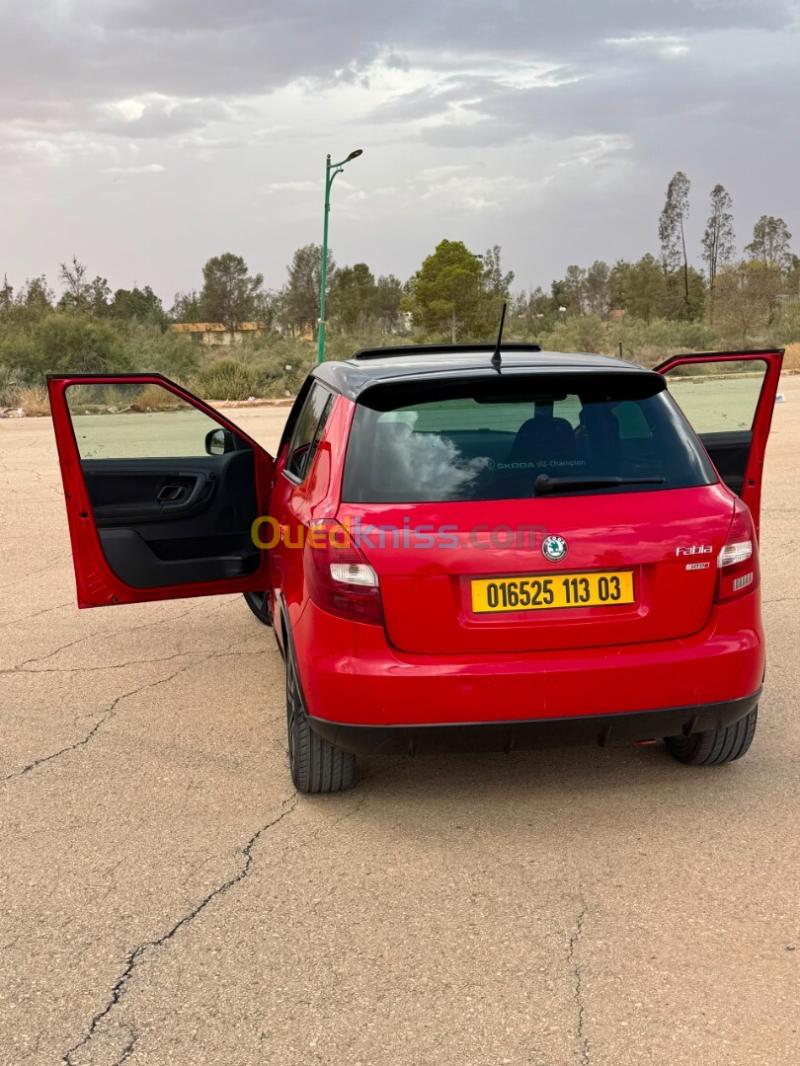 Skoda Fabia 2013 Monte Carlo 5