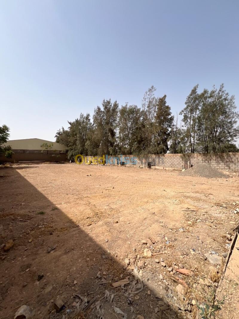 Location Terrain Sidi Bel Abbès Sidi bel abbes 3