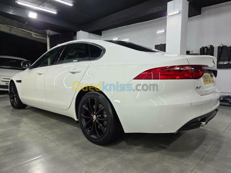 Jaguar XF Sportbrake 2019 XF 6