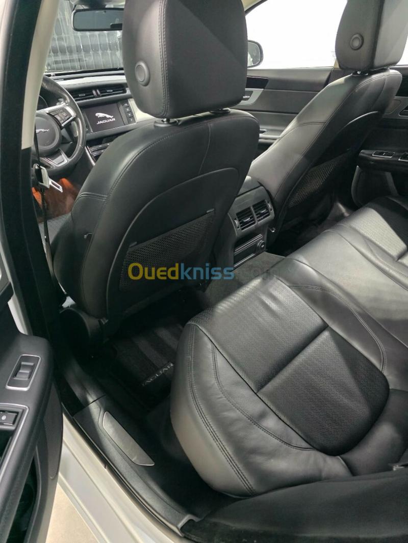 Jaguar XF Sportbrake 2019 XF 3