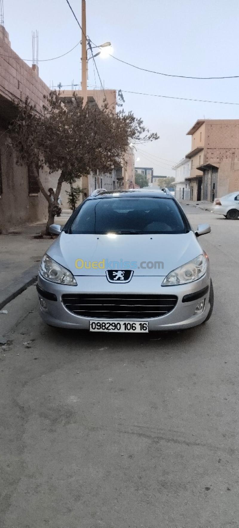 Peugeot 407 SW 2007 407 SW 4