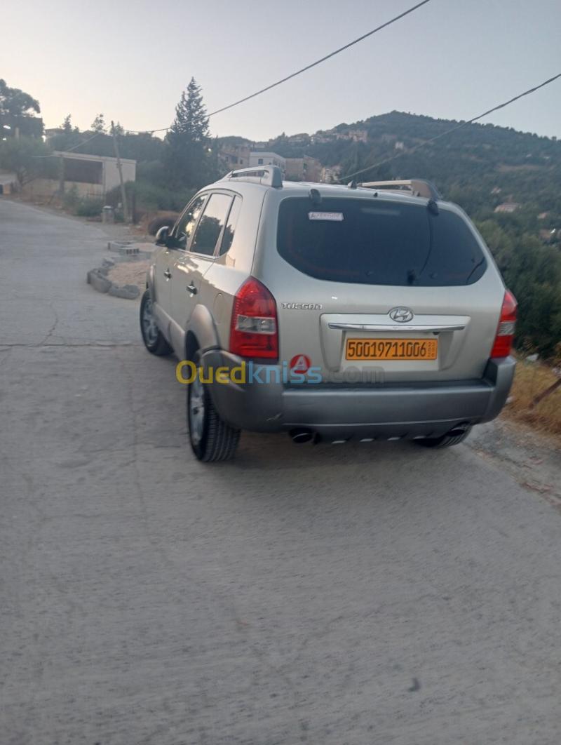 Hyundai Tucson 2010  5