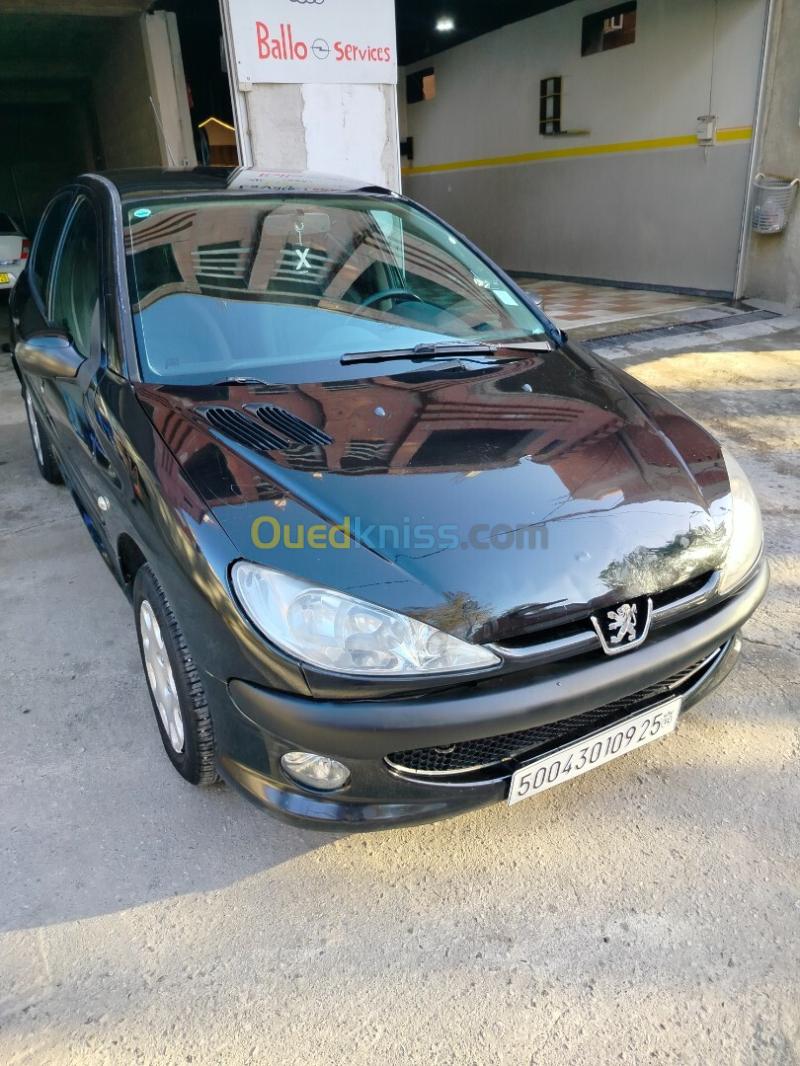 Peugeot 206 2009 206 2