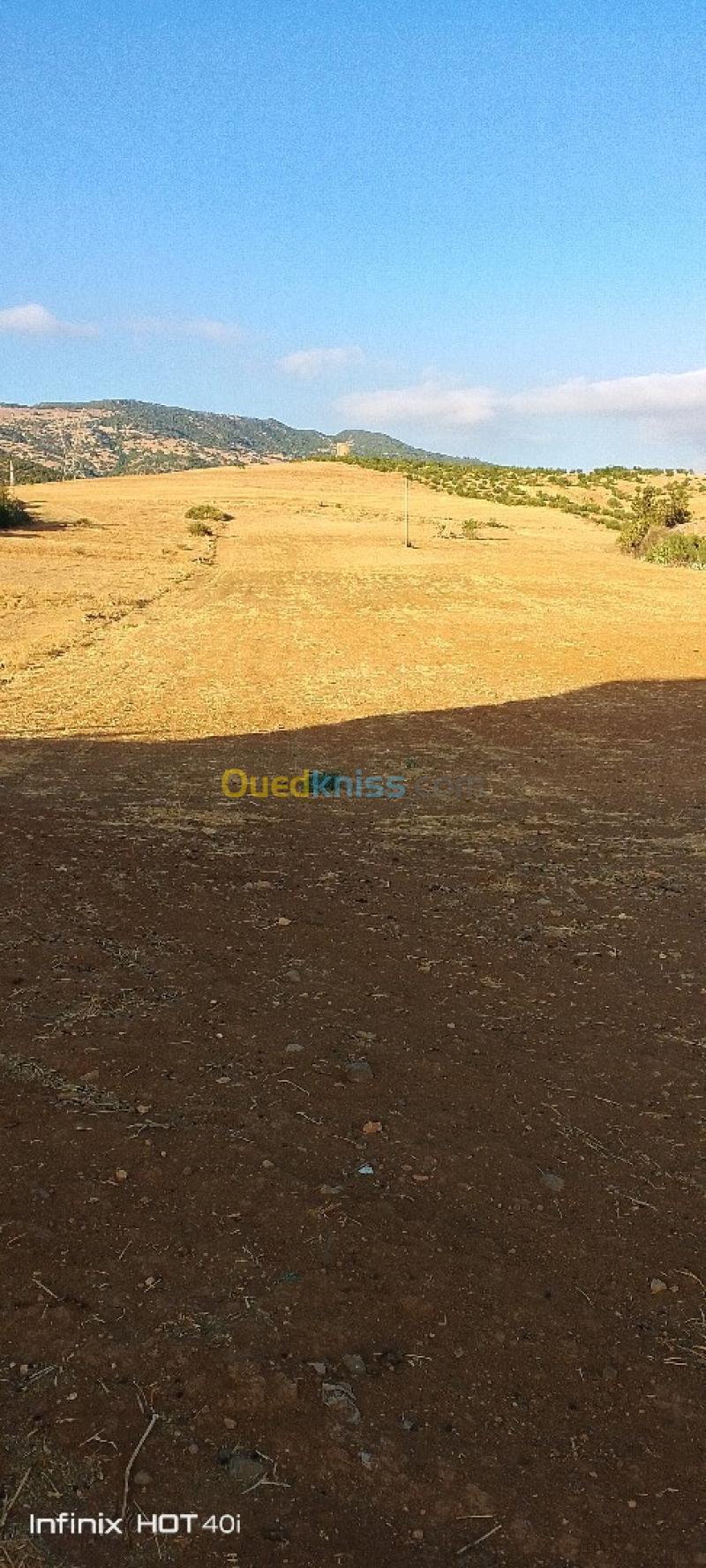 Vente Terrain Aïn Defla Ain soltane 6