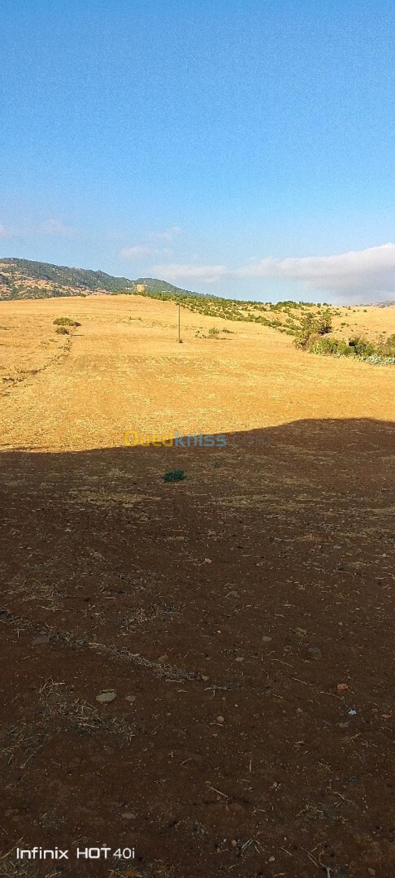 Vente Terrain Aïn Defla Ain soltane 7