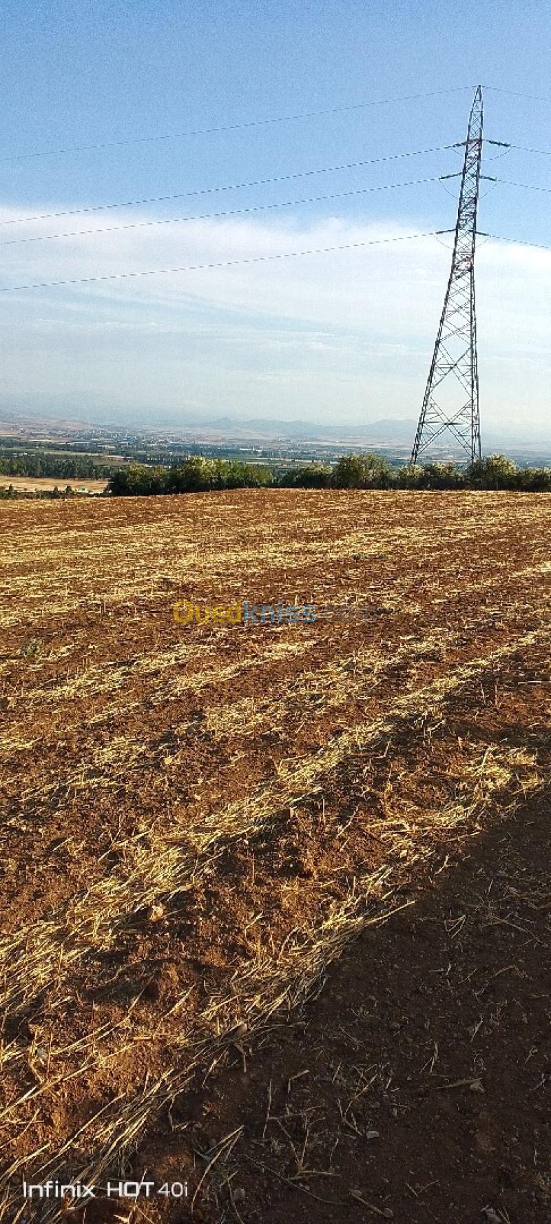 Vente Terrain Aïn Defla Ain soltane 4