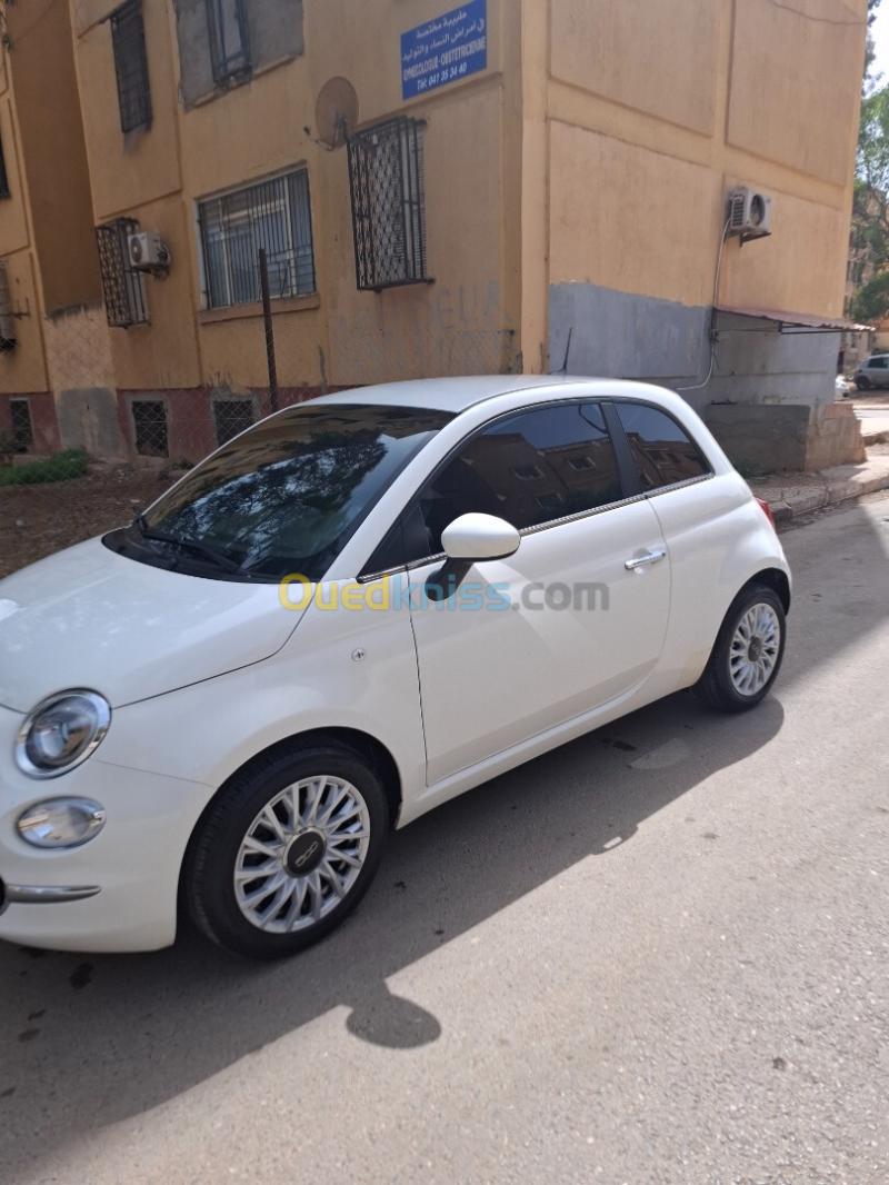 Fiat 500 2025  3