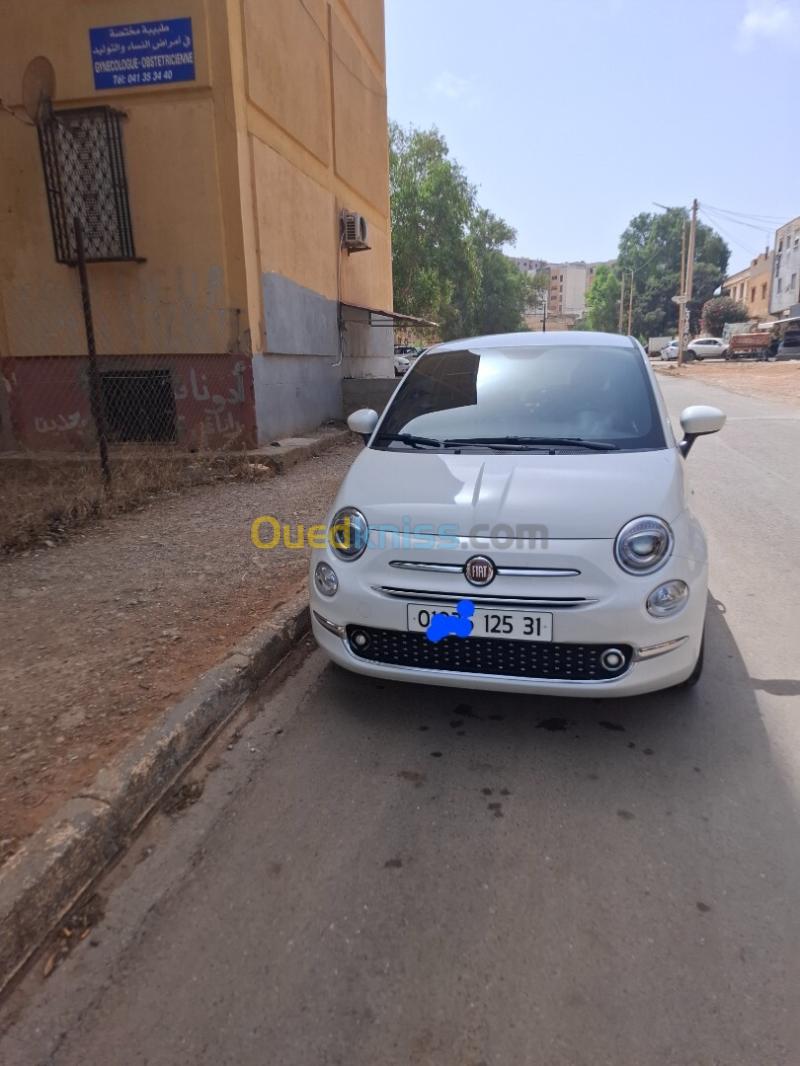 Fiat 500 2025  5