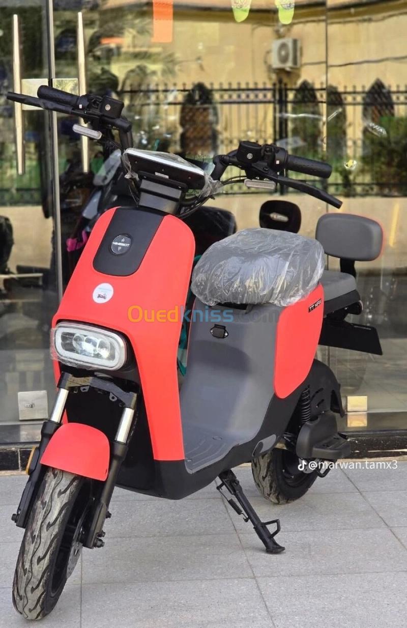 Mimo Tt max 2025 2