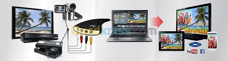 Pinnacle Dazzle Enregistreur DVD HD | Appareil de capture vidéo USB 2.0 + logiciel de montage vidéo  10