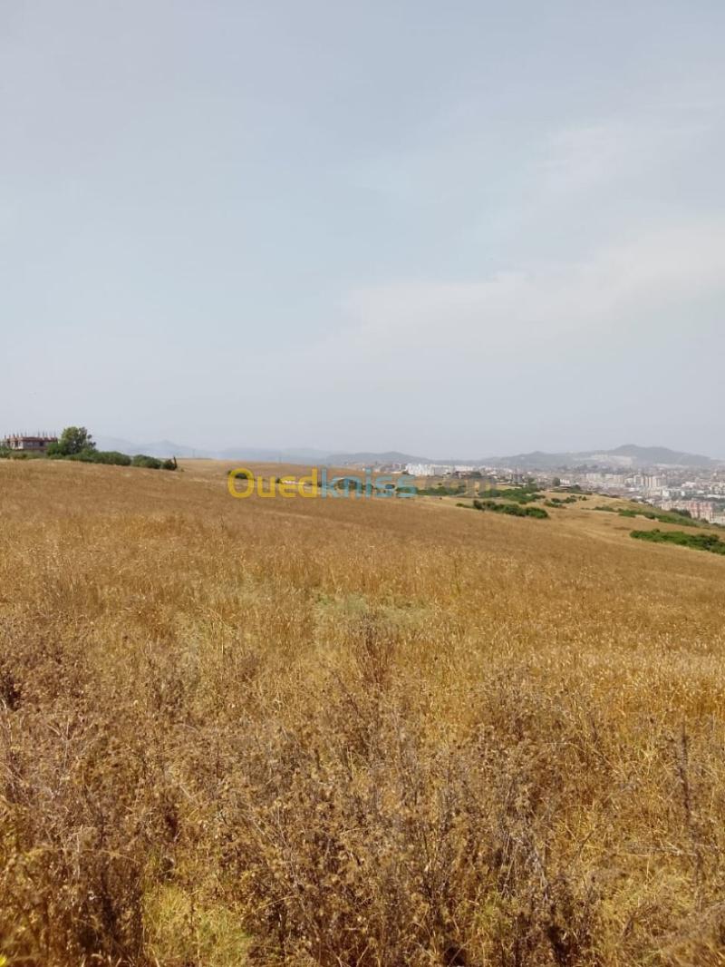 Vente Terrain Agricole Jijel Jijel 2
