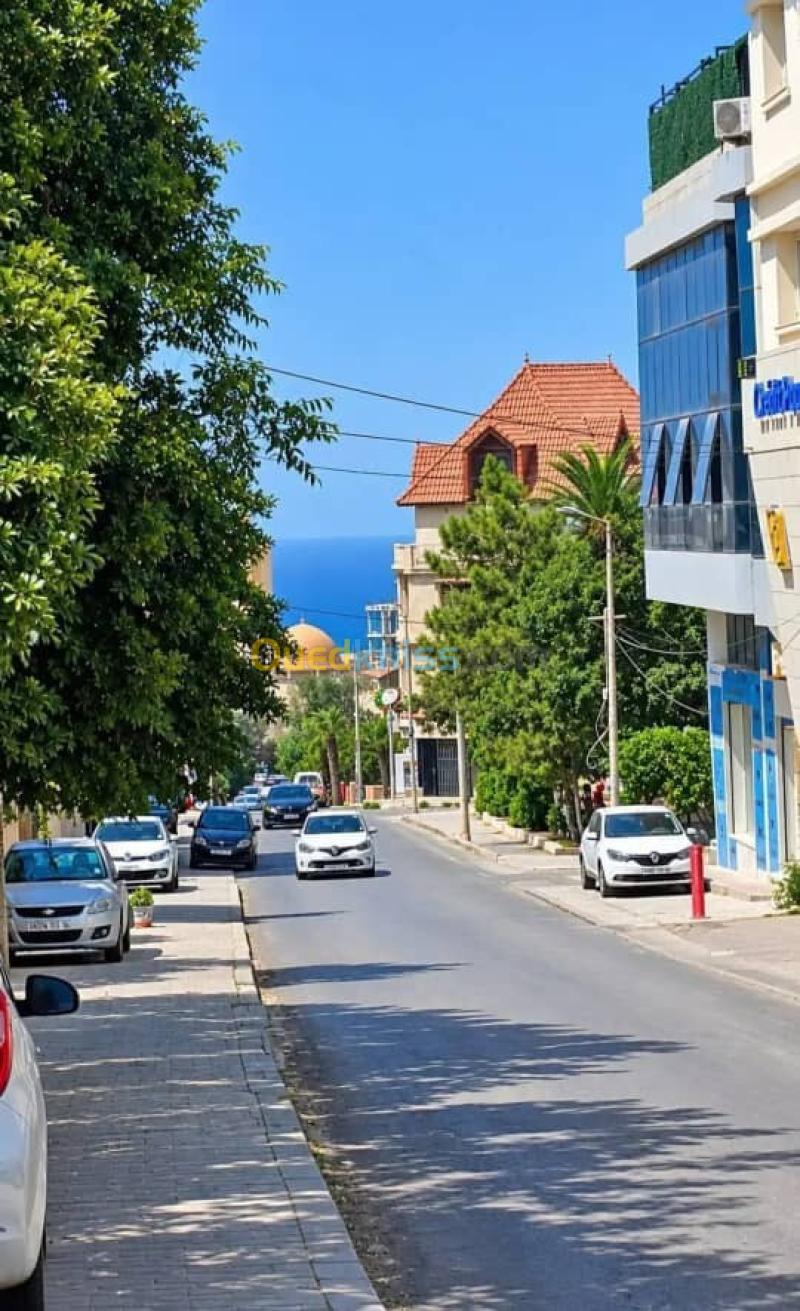 Vente Appartement F2 F3 F4 Alger Ain taya