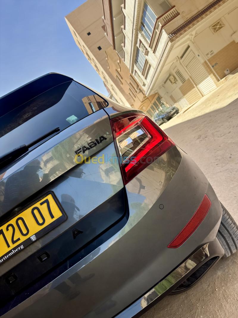 Skoda Fabia 2020 Monte Carlo 6