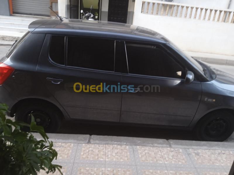 Skoda Fabia 2012  3