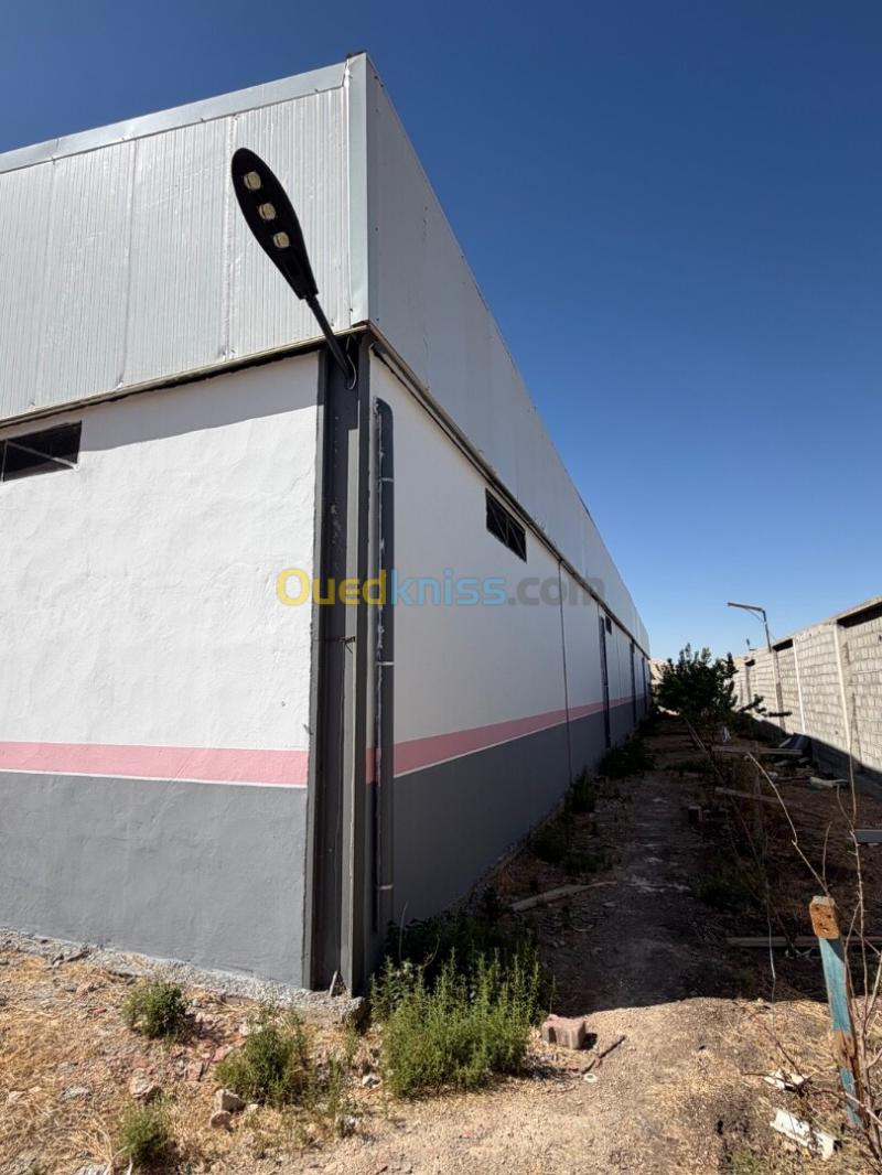 Location Hangar - Usine Sétif Ain arnat 10