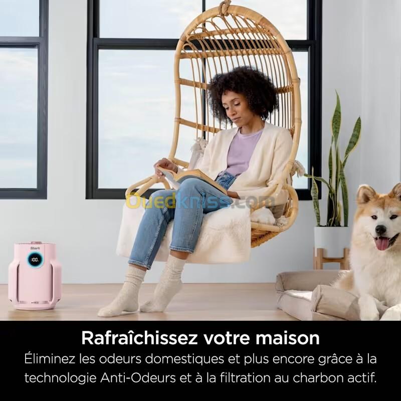 Shark NeverChange jusqu'à 5 ans Purificateur d'air compact HP150EU -filtre HEPA 5 ans, 60 m carres , capture 99,97 % des allergènes, mode automatique, silencieux, affichage LED, blanc 3