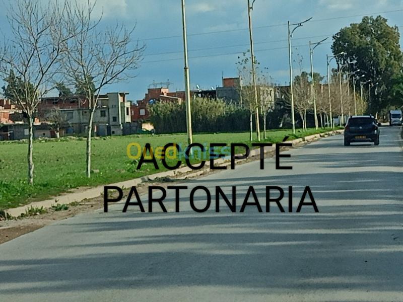 Vente Terrain Alger Draria 2