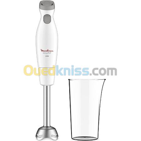 Moulinex Pied mixeur Moulinex Easychef 450W - Inox