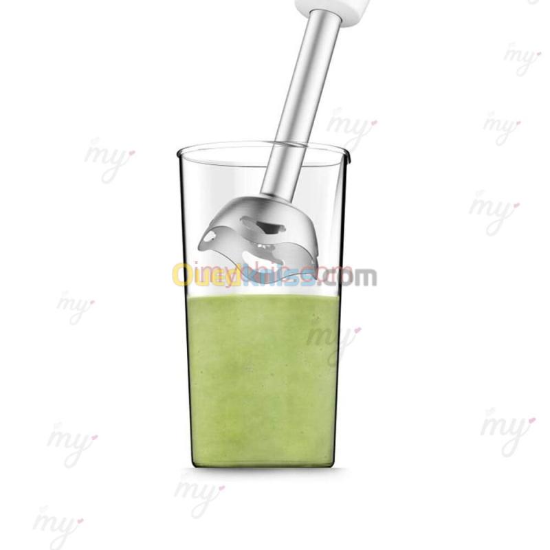 Moulinex Pied mixeur Moulinex Easychef 450W - Inox 3