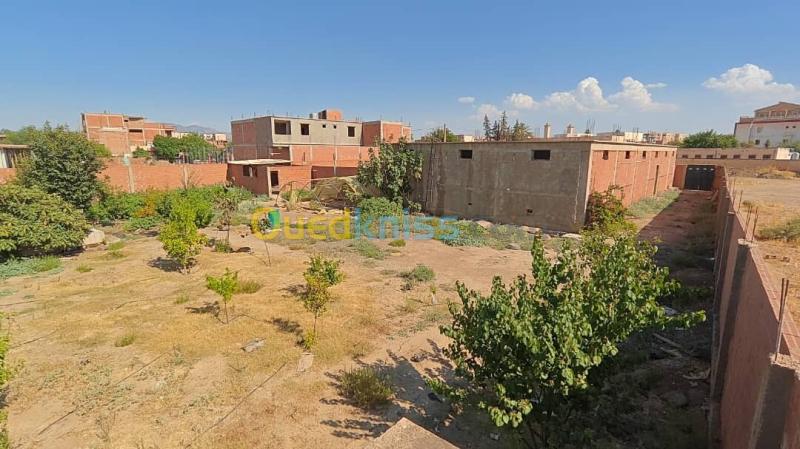 Vente Terrain Aïn Defla Rouina 2