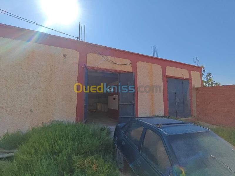 Vente Terrain Aïn Defla Rouina 12