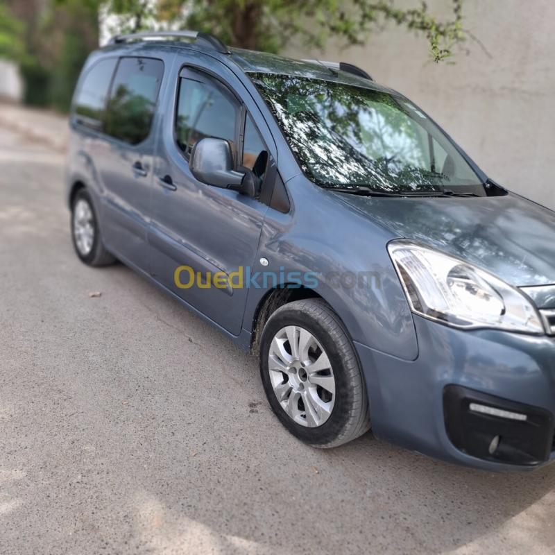 Citroen Berlingo Multispace 2008  6