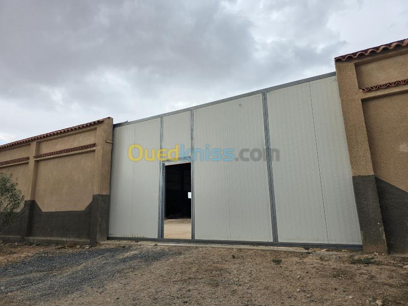 Location Hangar - Usine Sétif Guidjel