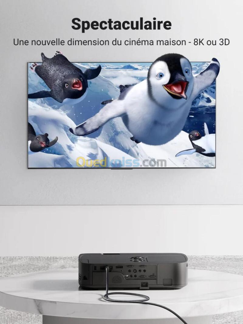 Câble HDMI 2.1[8K-60Hz/4K-120Hz] UGREEN Original REF: HD135 Cuivre pur 28AWG 7
