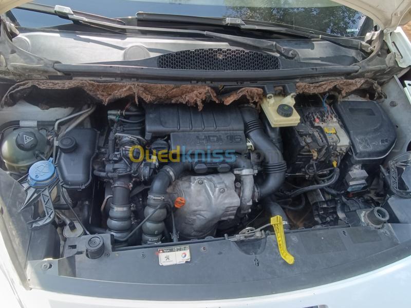 Peugeot Partner 2011 Tepee 13