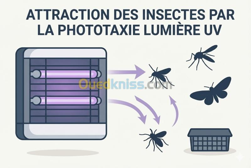 Anti moustique lampe UV/Mouche/Anti fourmis volantes/ناموس tigre /piège/PEST KILLER/insectiseur/moustiques 7