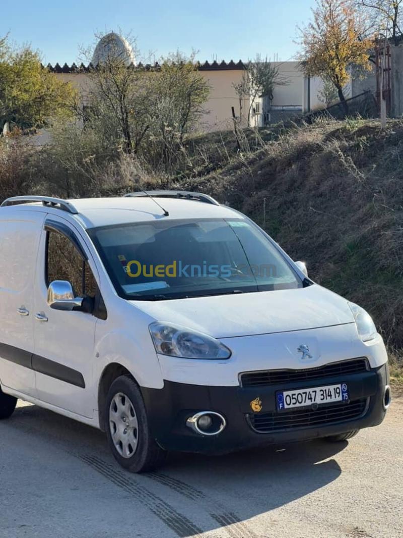 Peugeot Partner 2014 B9 5
