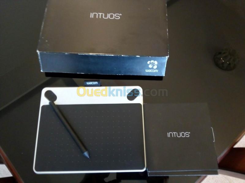  Tablette graphique Wacom Intuos CTL-490