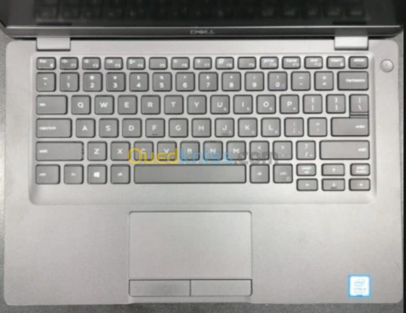 Dell 12