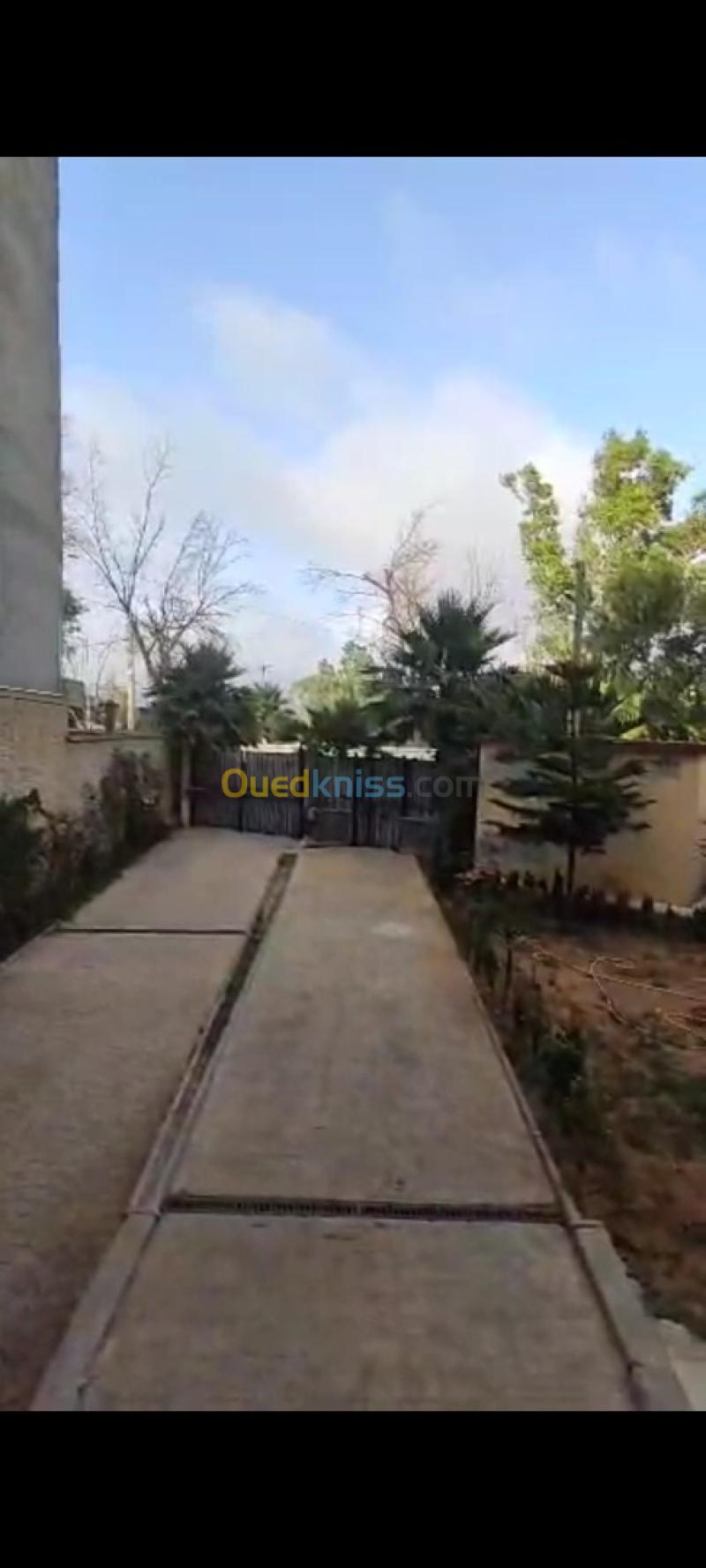 Location Appartement F4 Alger Dely brahim 4