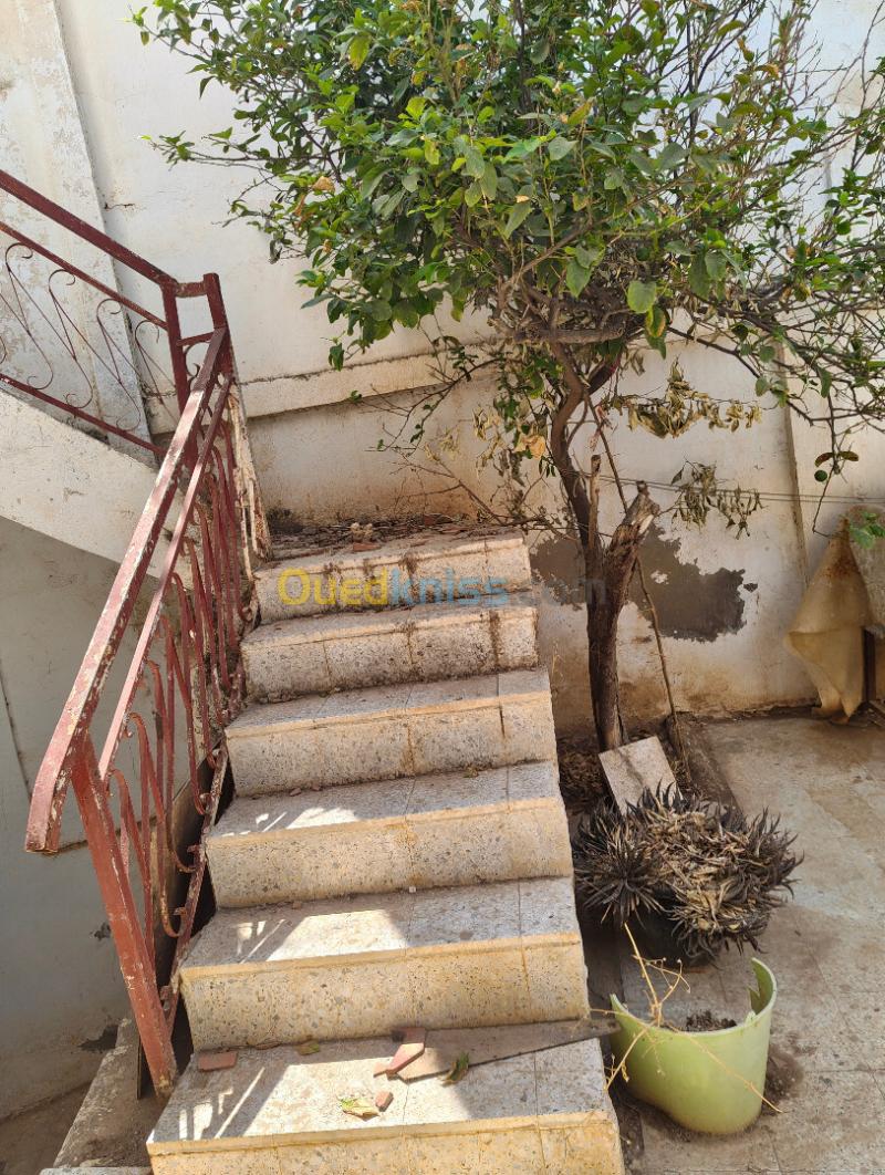 Location Appartement F6 Chlef Chlef 12