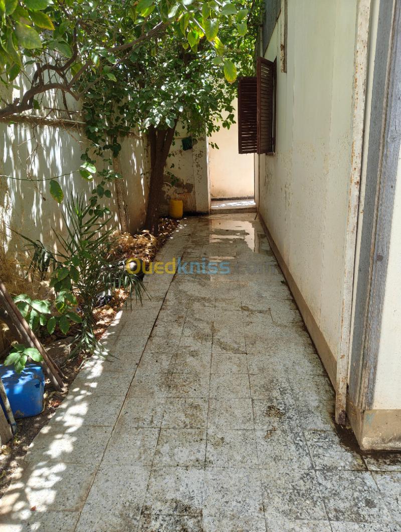 Location Appartement F6 Chlef Chlef 18