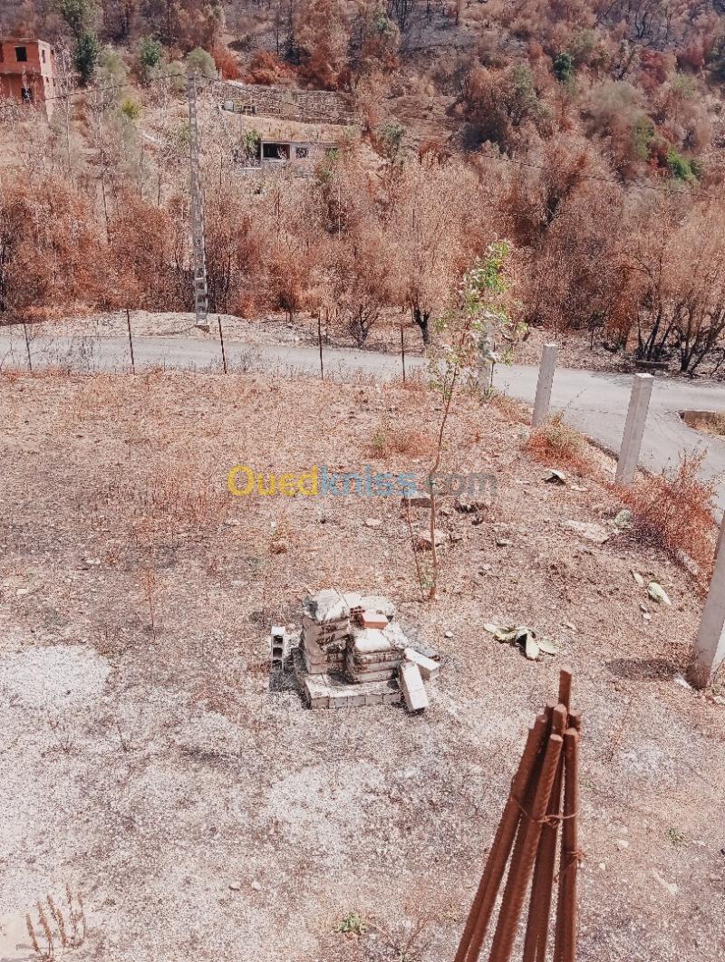 Vente Terrain Béjaïa Boukhelifa 16
