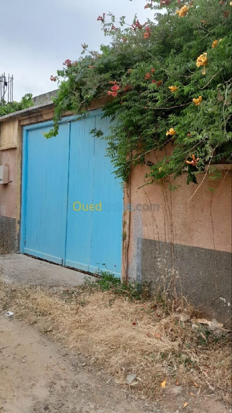 Vente Villa Boumerdès Djinet 4